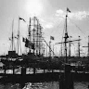 Meet your Posher, Ariel